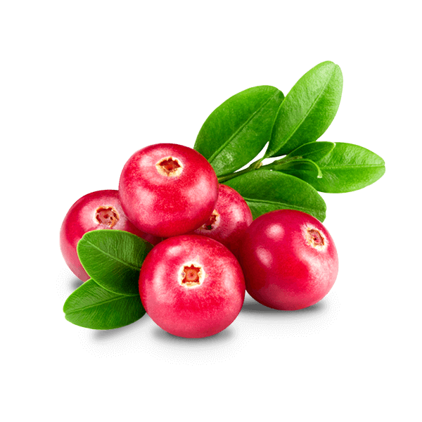 Cranberry